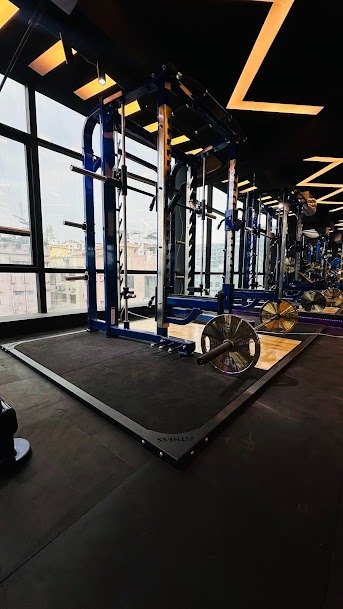 Fitlife Gymnasium training floor with city view and premium squat racks
