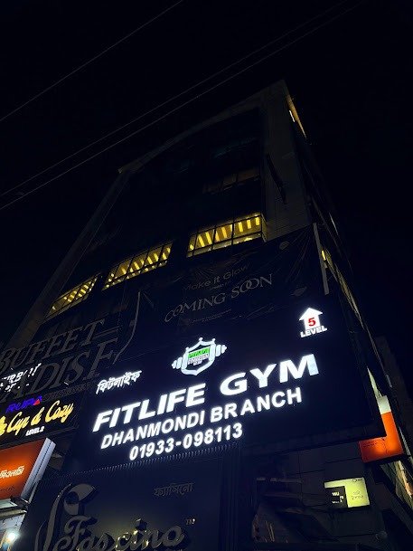 Power racks with city skyline view at Fitlife Gym